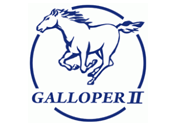 Catalytic converter GALLOPER
